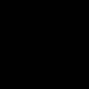 Meet your Posher, Cassidy